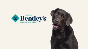 bentley's pawsome resort